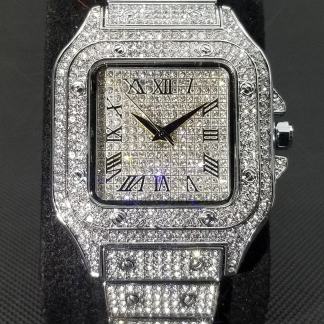 Montre full VVS